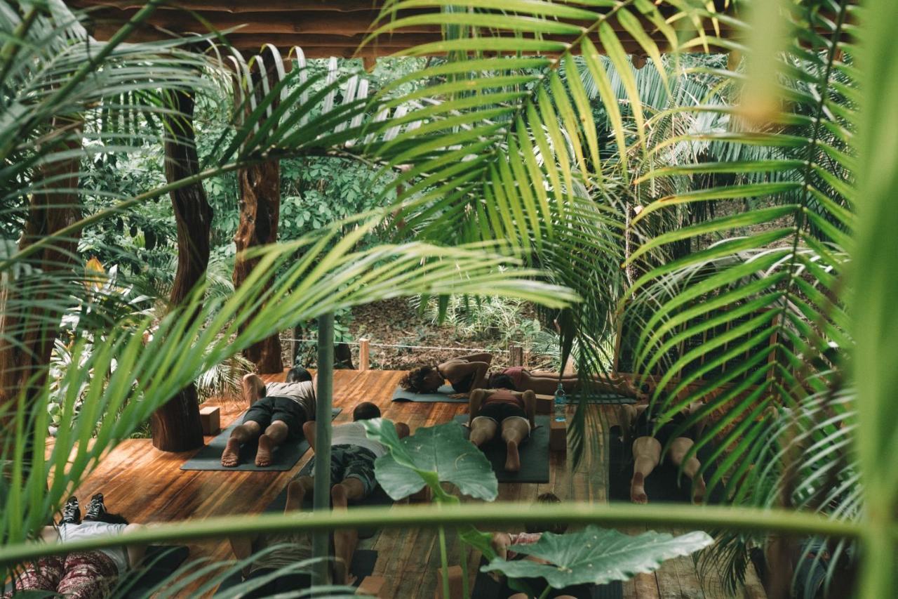 Hotel Guiones 노사라 외부 사진