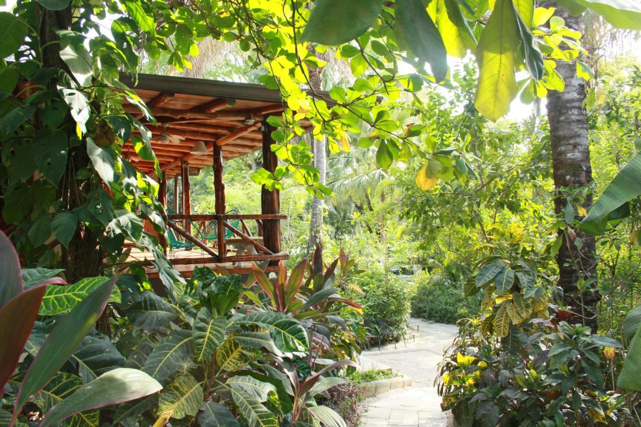 Hotel Guiones 노사라 외부 사진